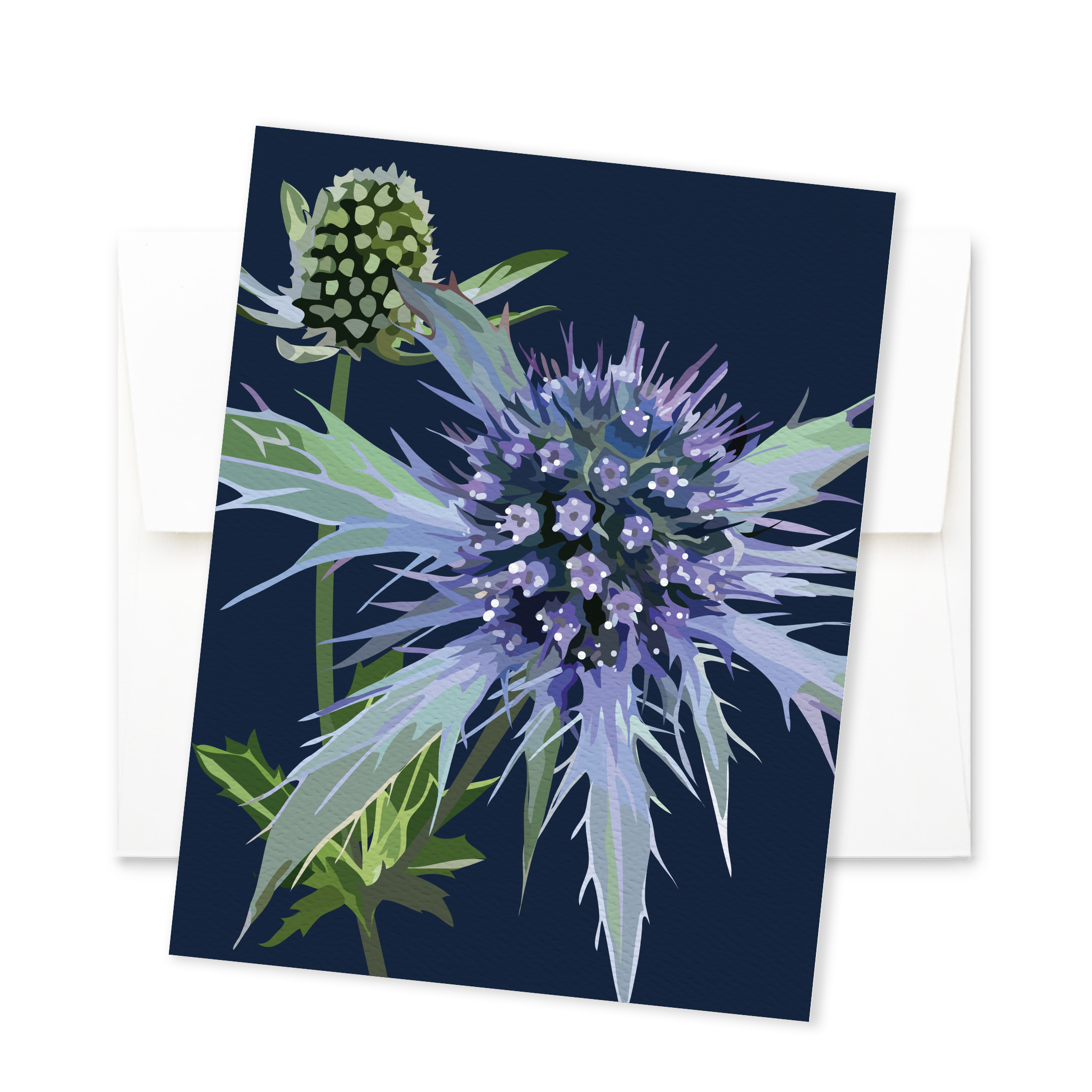 Sea Holly (Eryngium) - Image 2