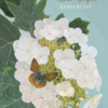 Sympathy Hydrangea