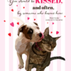 You Should Be Kissed!