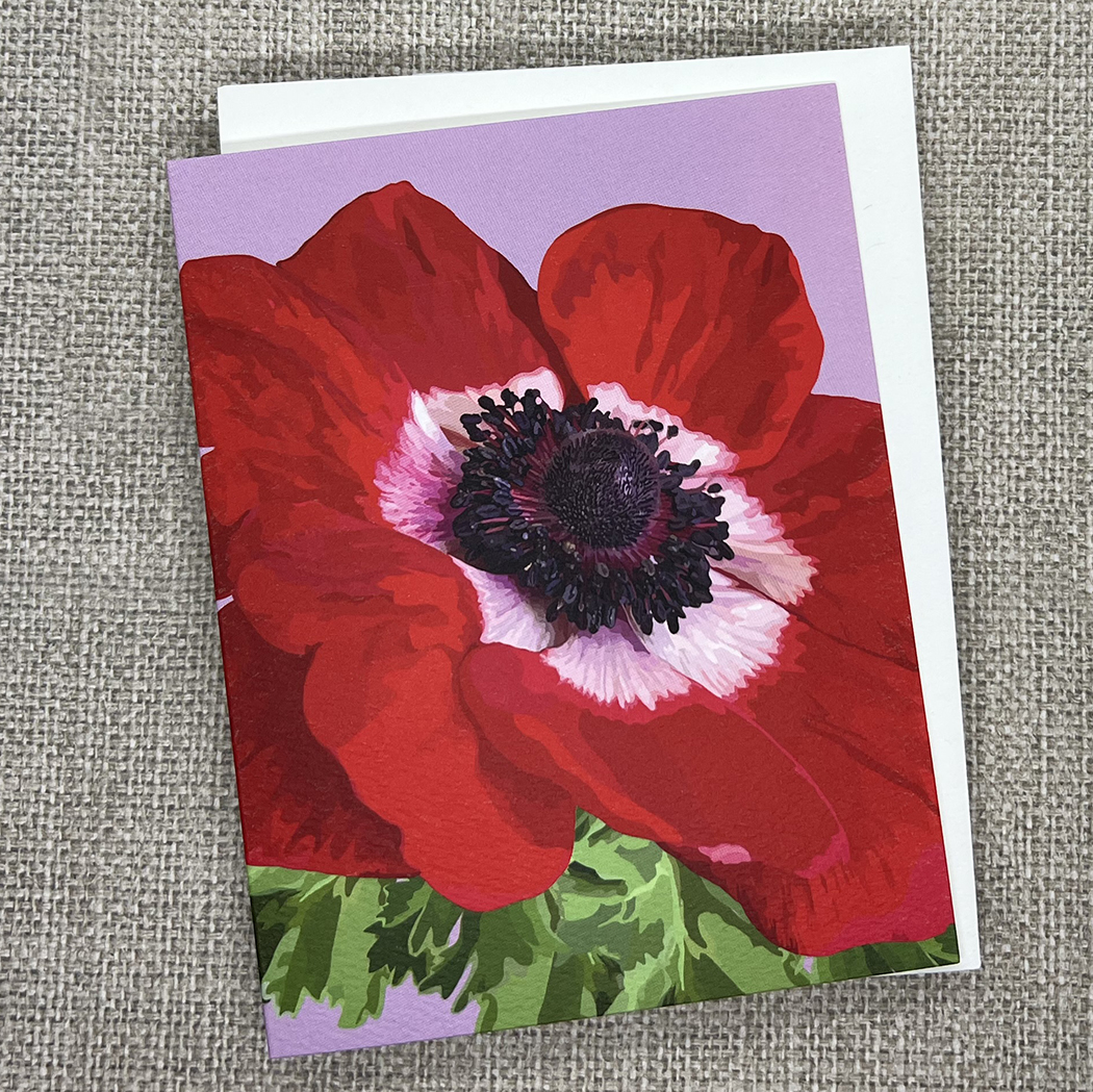 Italian Red Anemone - Image 2