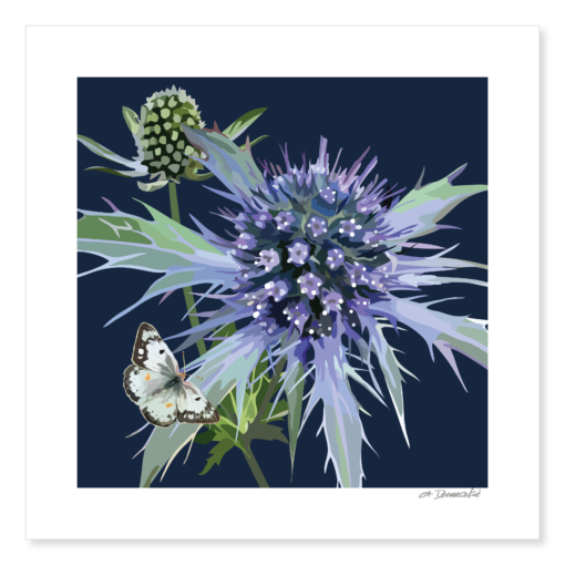 Sea Holly Giclée Print