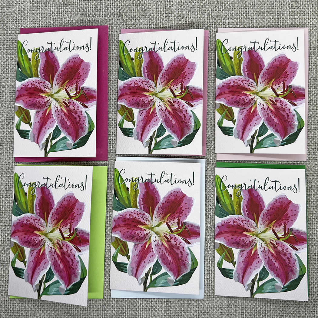 Congratulations Lily - Set of Six