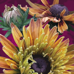 Late Summer Zinnias - Image 4