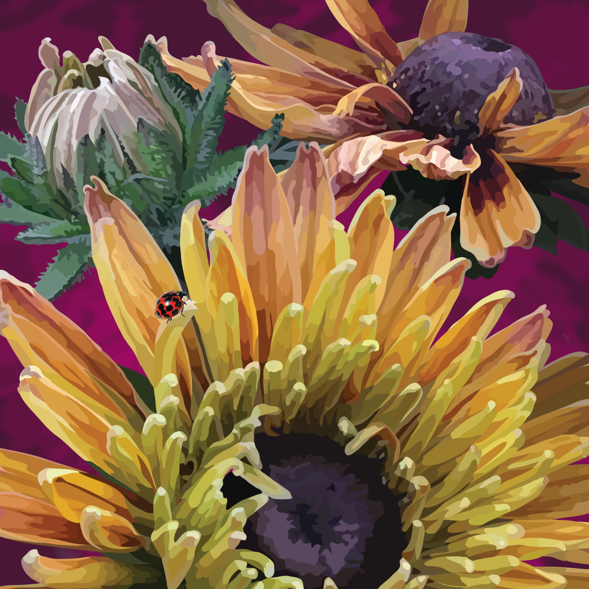 Late Summer Zinnias - Image 4