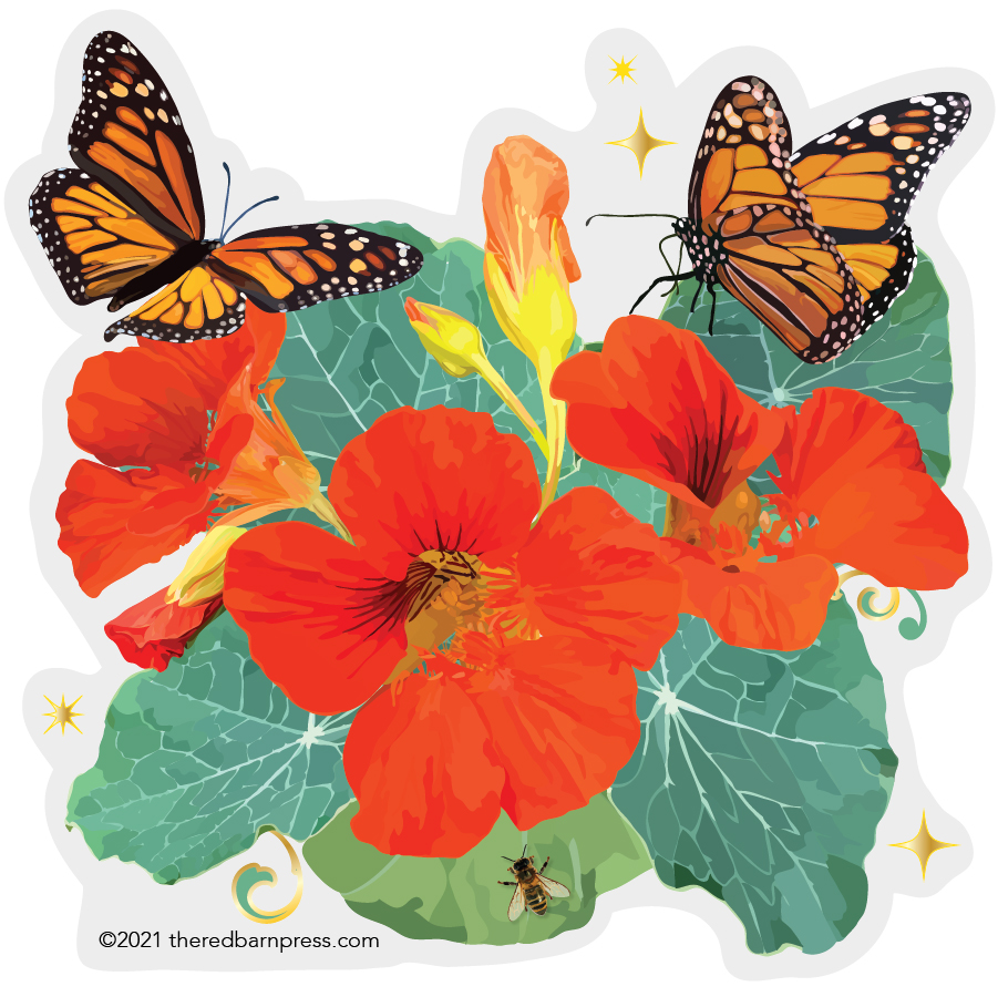 Nasturtium and Butterflies