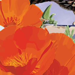 California Quail and Poppies - Image 3