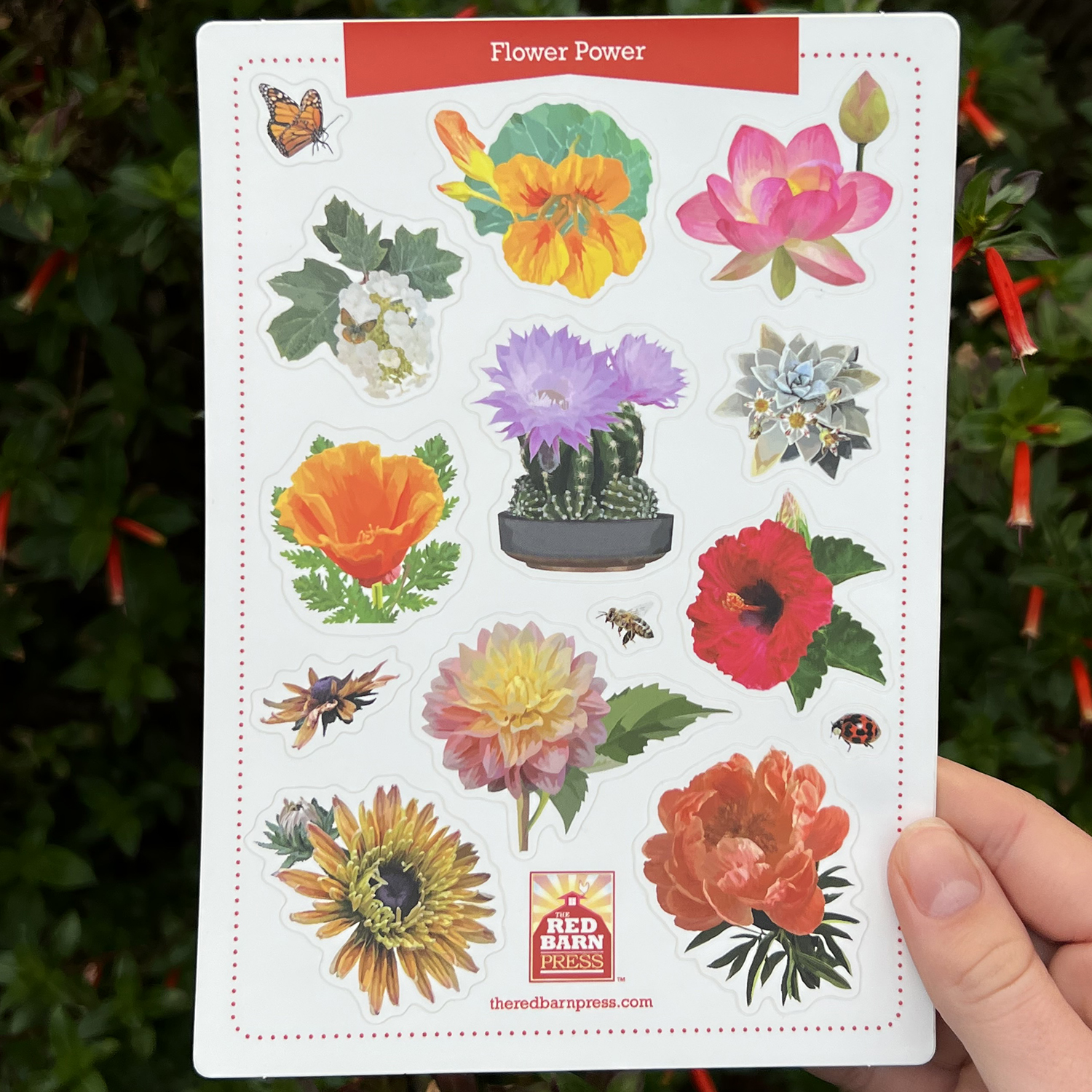 Flower Power Sticker Sheet - Image 2