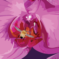 Purple Orchids - Image 3
