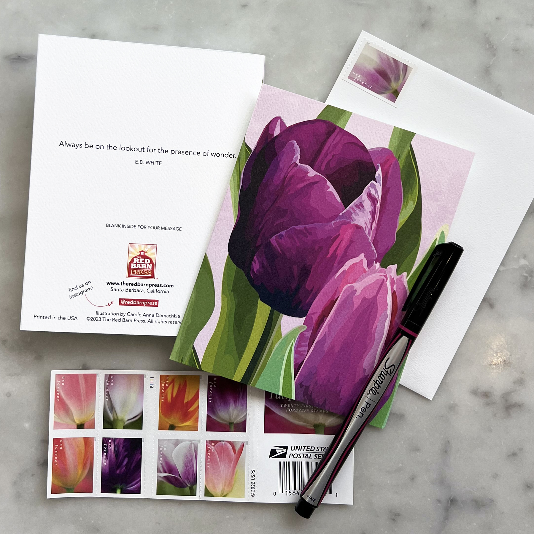 Purple Tulips - Image 3