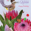 All Hail the Birthday Queen!