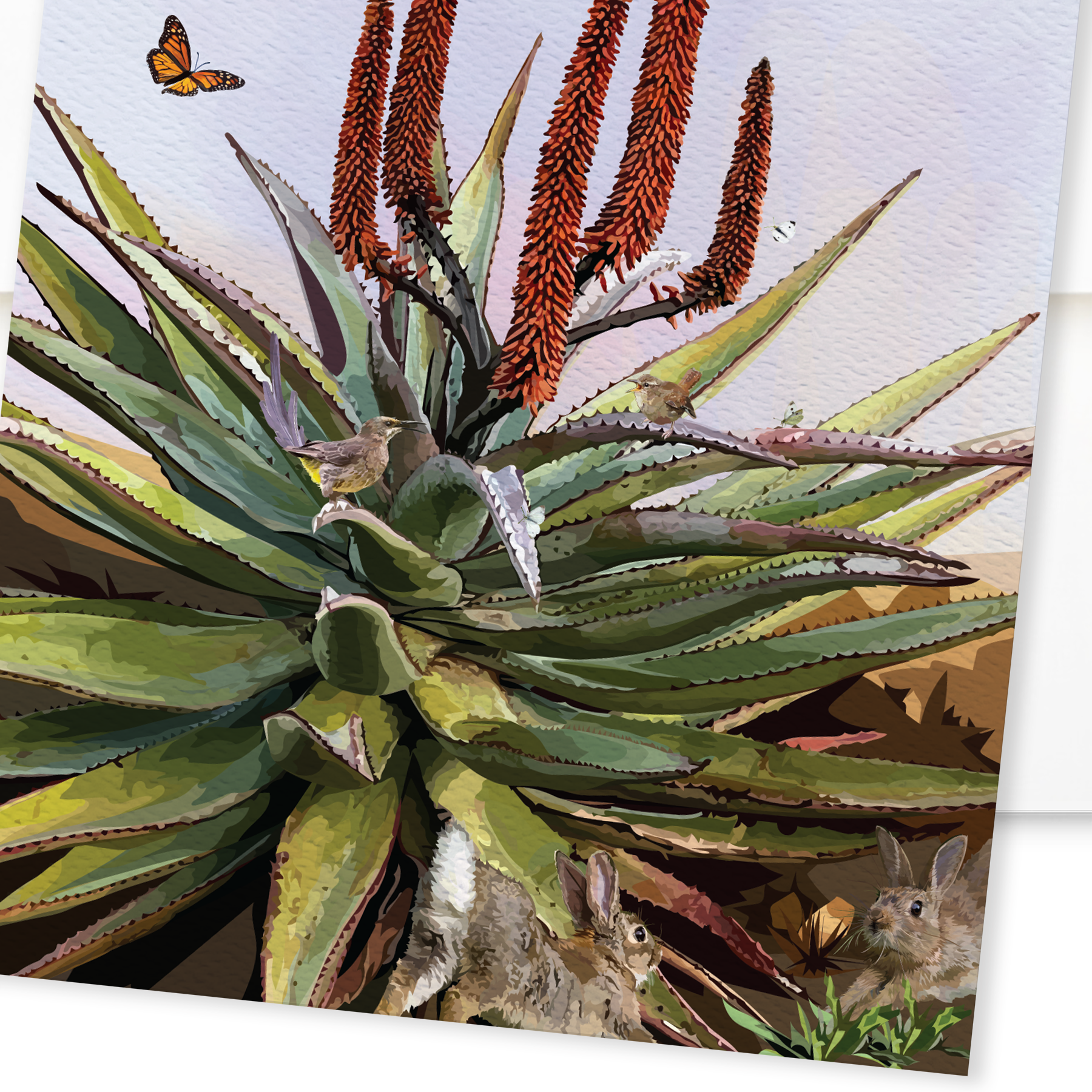 Cape Aloe and Friends - Image 4