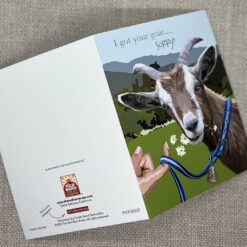 Sorry I Got Your Goat! - Image 3