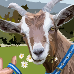 Sorry I Got Your Goat! - Image 4