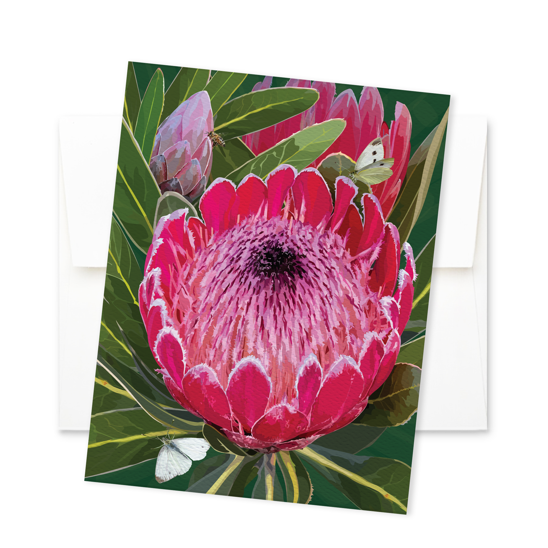 Queen Protea - Image 2