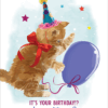 Are You Kitten Me?