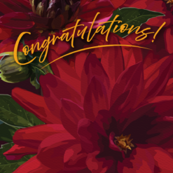Congratulations Dahlias! - Image 4