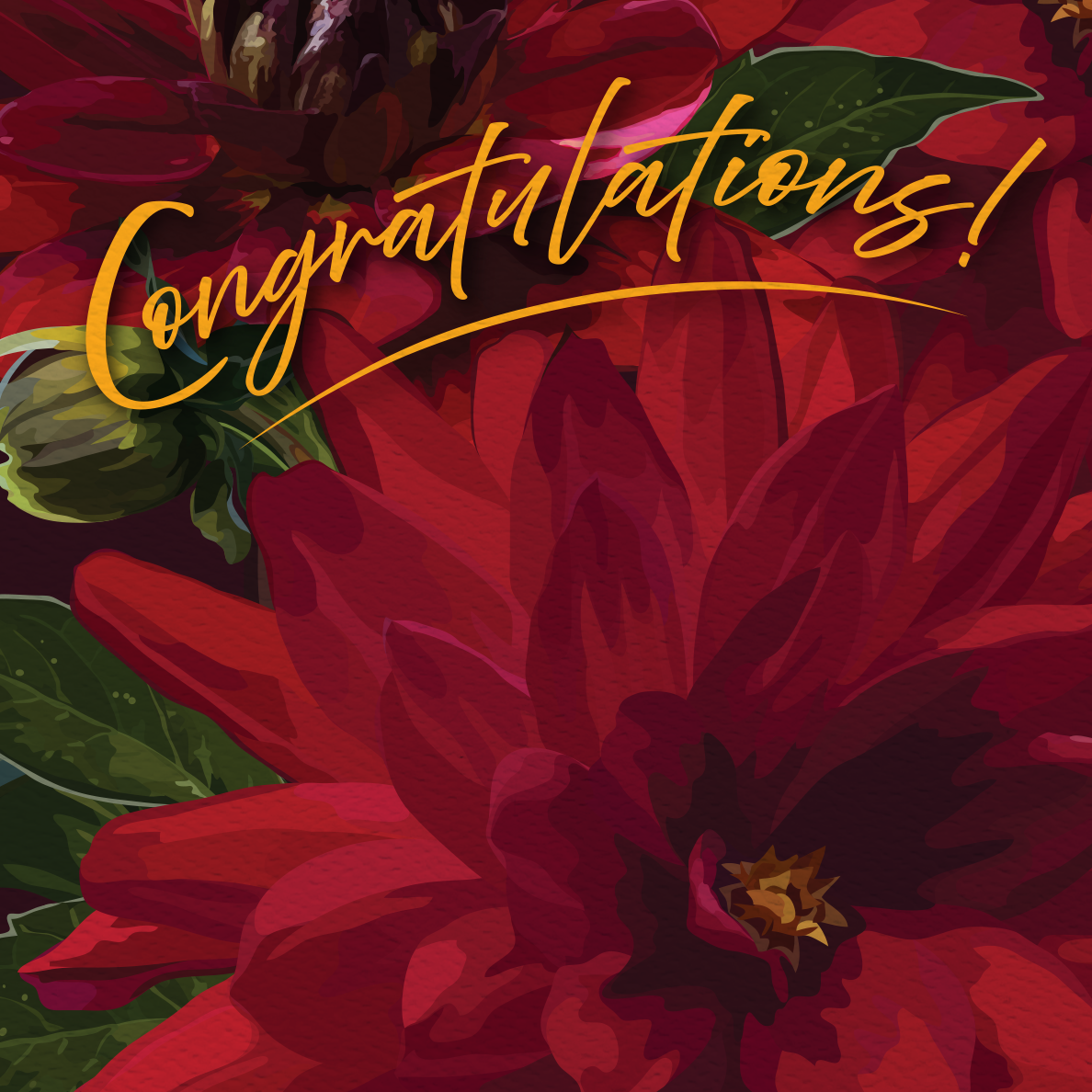 Congratulations Dahlias! - Image 4