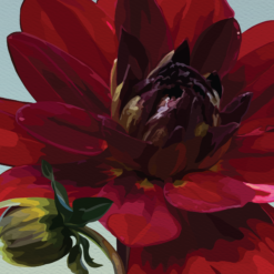 Dramatic Red Dahlia and Bud - Image 4