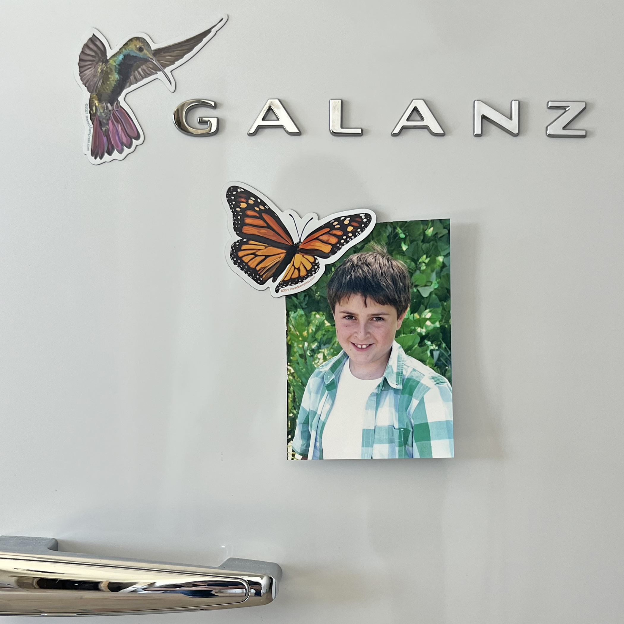 Hummingbird Magnet - Image 3