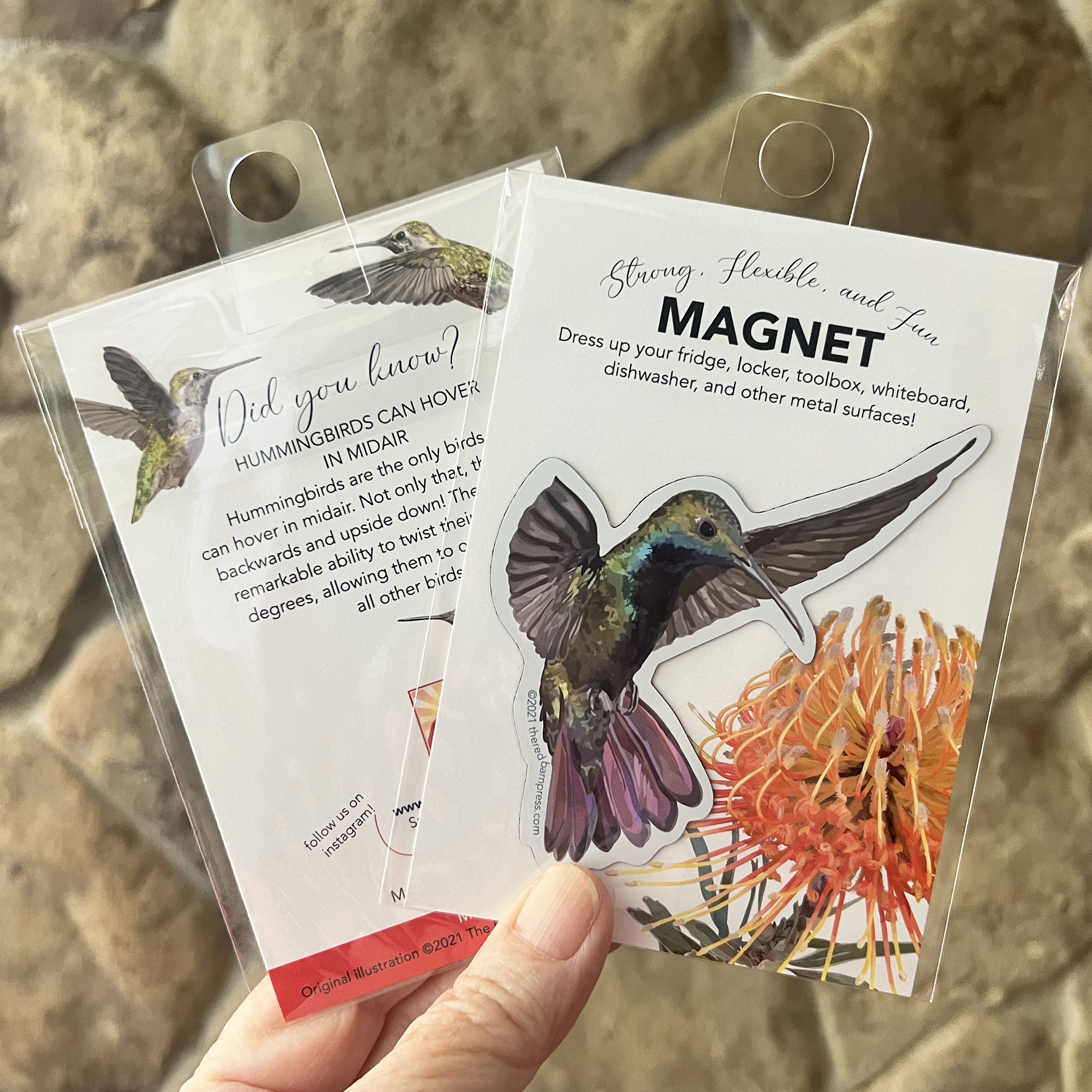 Hummingbird Magnet