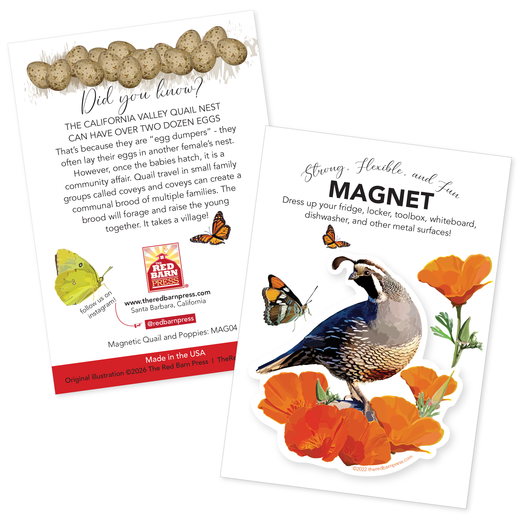 California Valley Quail and Poppies Magnet - Image 2