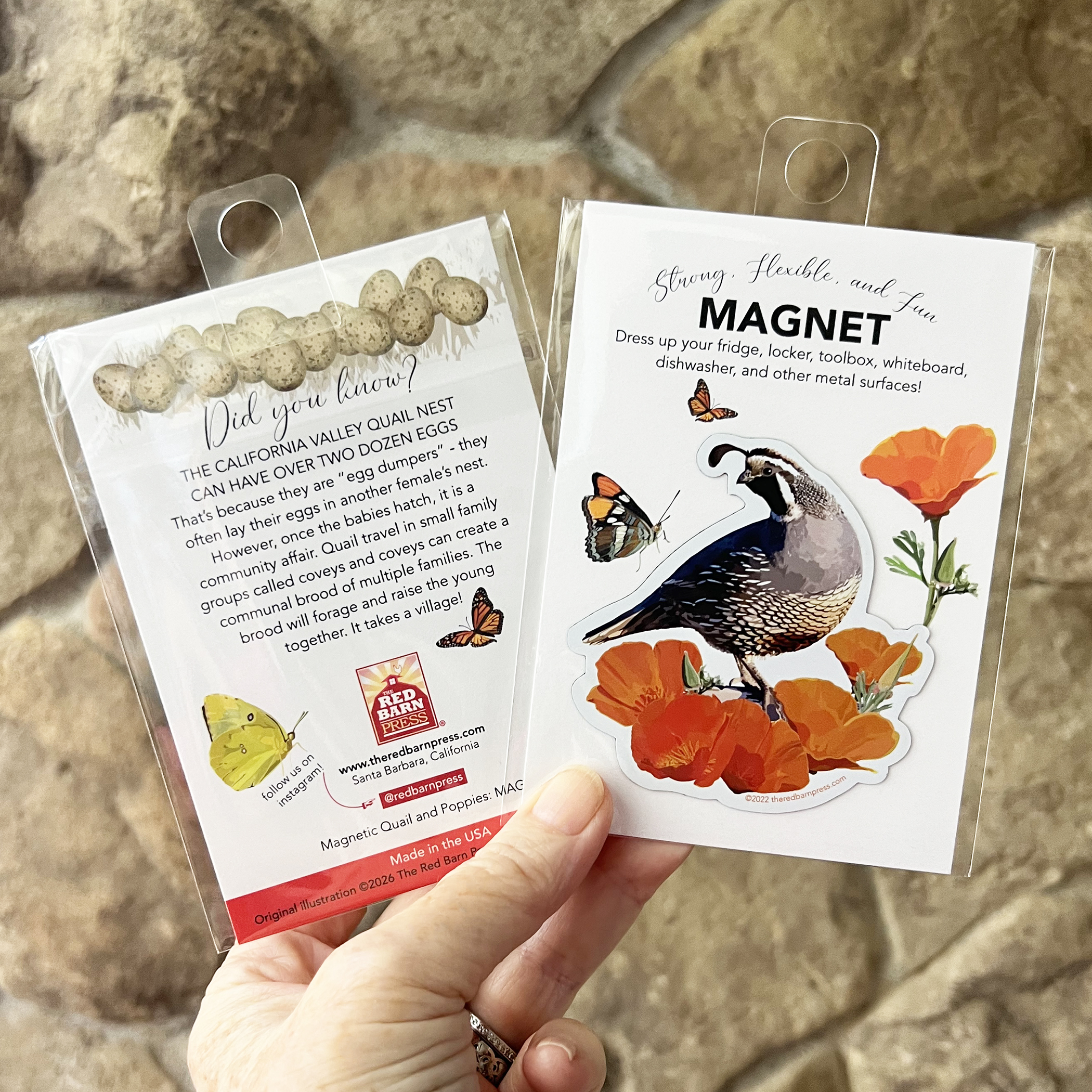 California Valley Quail and Poppies Magnet
