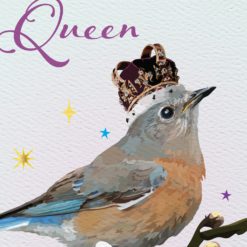 Western Bluebird Birthday Queen - Image 3