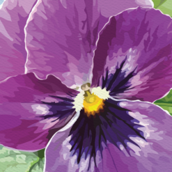 Pretty Purple Pansy - Image 4